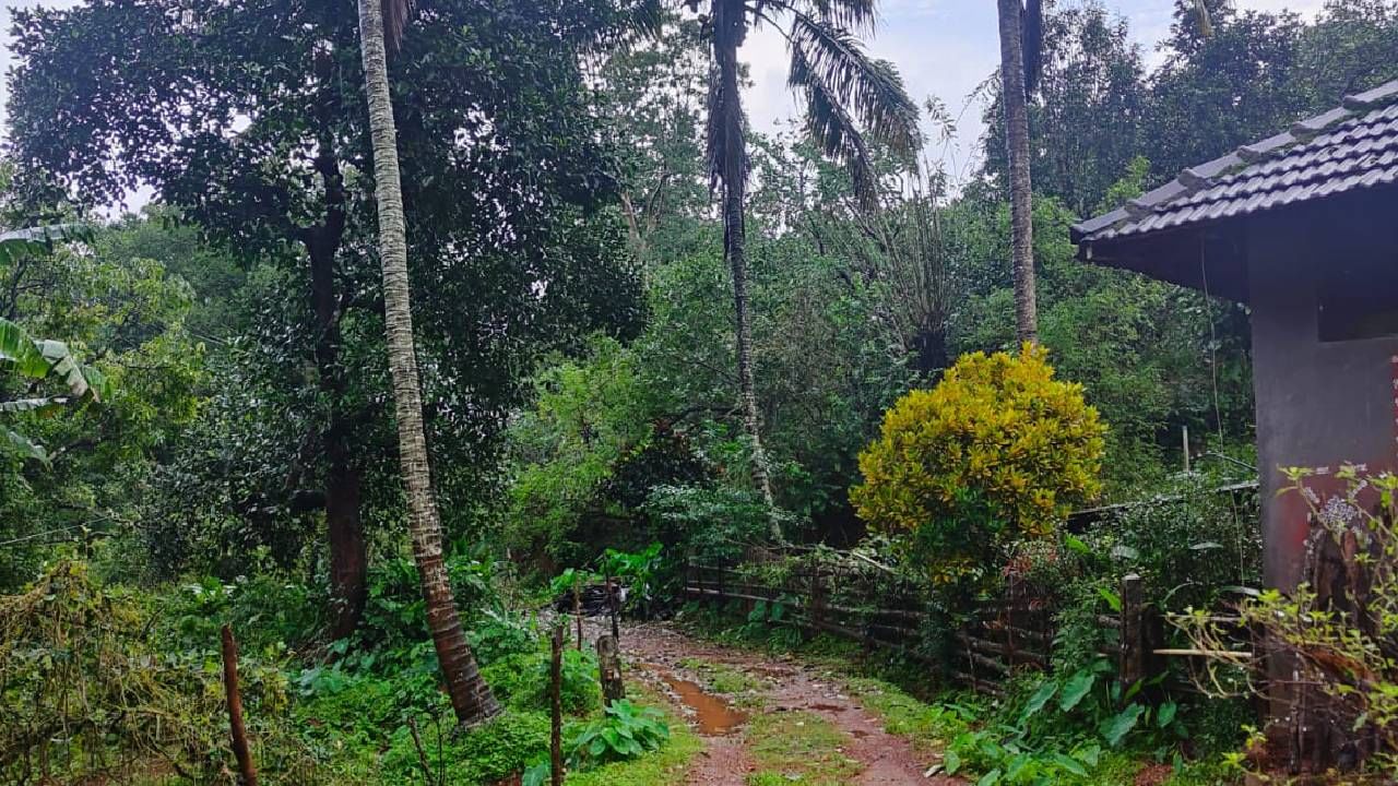 Karnataka Rains: ಕರ್ನಾಟಕದ ಕರಾವಳಿ, ಮಲೆನಾಡಿನಲ್ಲಿ ಇಂದಿನಿಂದ ಕಡಿಮೆಯಾಗಲಿದೆ ಮಳೆಯ ಪ್ರಮಾಣ