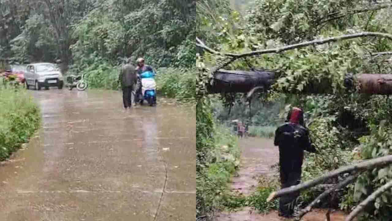 ಚಿಕ್ಕಮಗಳೂರಿನಲ್ಲಿ ಮಳೆ ಅಬ್ಬರ: ಶೃಂಗೇರಿ-ಹೊರನಾಡು ಸೇರಿದಂತೆ ಪ್ರವಾಸ ತಾಣಗಳ ರಸ್ತೆ ಸಂಚಾರ ಬಂದ್ ಚಿಕ್ಕಮಗಳೂರಿನಲ್ಲಿ ಮಳೆ ಅಬ್ಬರ: ಶೃಂಗೇರಿ-ಹೊರನಾಡು ಸೇರಿದಂತೆ ಪ್ರವಾಸ ತಾಣಗಳ ರಸ್ತೆ ಸಂಚಾರ ಬಂದ್