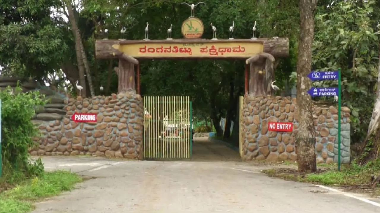ಪ್ರವಾಹ ಭೀತಿ: ರಂಗನತಿಟ್ಟು ಪಕ್ಷಿಧಾಮಕ್ಕೆ ಪ್ರವಾಸಿಗರ ಪ್ರವೇಶಕ್ಕೆ ನಿರ್ಬಂಧ ಪ್ರವಾಹ ಭೀತಿ: ರಂಗನತಿಟ್ಟು ಪಕ್ಷಿಧಾಮಕ್ಕೆ ಪ್ರವಾಸಿಗರ ಪ್ರವೇಶಕ್ಕೆ ನಿರ್ಬಂಧ