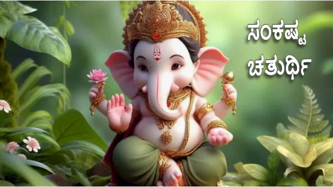 Sankashta Chaturthi 2024: ವಿಘ್ನ ನಿವಾರಕ ವಿಘ್ನೇಶ್ವರನನ್ನು ಸಂತುಷ್ಟಗೊಳಿಸಲು ಸಂಕಷ್ಟ ಚತುರ್ಥಿ ಉಪವಾಸ ಯಾವಾಗ ಮಾಡಬೇಕು? Sankashta Chaturthi 2024: ವಿಘ್ನ ನಿವಾರಕ ವಿಘ್ನೇಶ್ವರನನ್ನು ಸಂತುಷ್ಟಗೊಳಿಸಲು ಸಂಕಷ್ಟ ಚತುರ್ಥಿ ಉಪವಾಸ ಯಾವಾಗ ಮಾಡಬೇಕು?