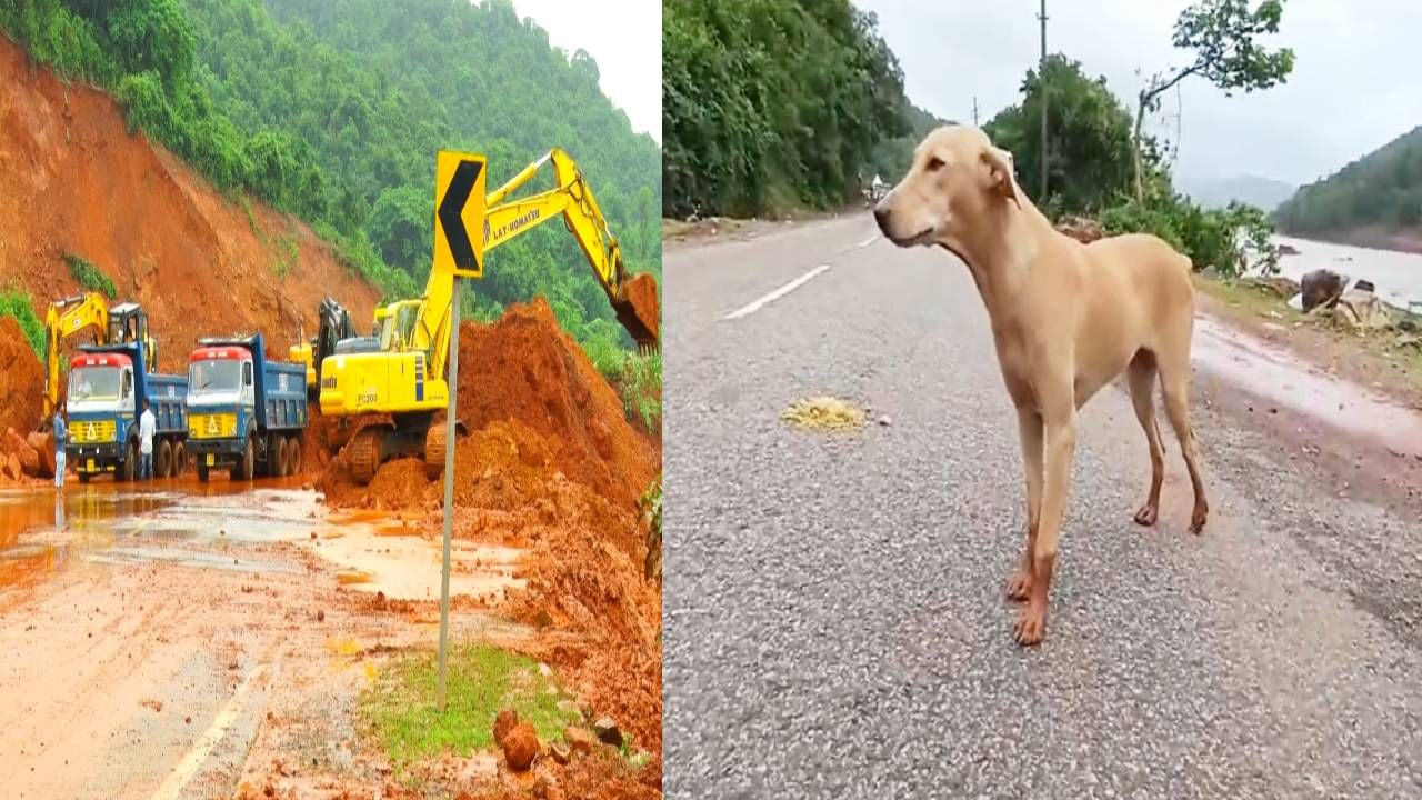 ಶಿರೂರು ಗುಡ್ಡ ಕುಸಿತ: ಮೃತ ಮಾಲೀಕನಿಗಾಗಿ ಹುಡುಕಾಡುತ್ತಿರುವ ಸಾಕು ನಾಯಿ, ಮನಕಲಕುವ ದೃಶ್ಯ ಇಲ್ಲಿದೆ