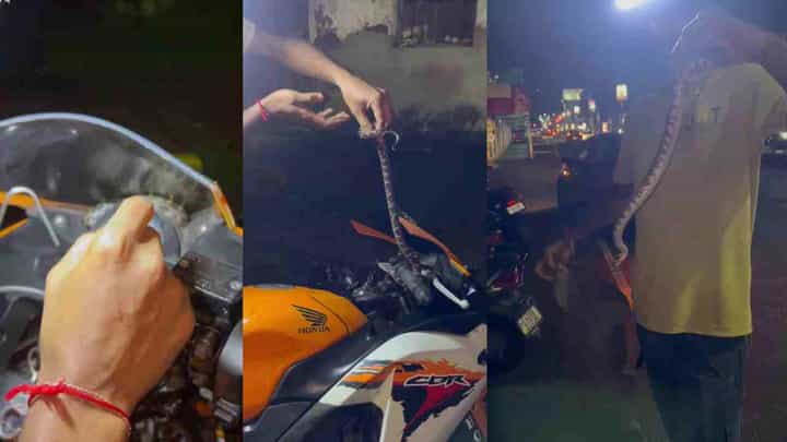 ಉಡುಪಿ: ಬೈಕ್ನ ಹೆಡ್ ಲೈಟ್ ವೈಸರ್ನಲ್ಲಿ ಹಾವು ಪ್ರತ್ಯಕ್ಷ, ವಿಡಿಯೋ ನೋಡಿ ಉಡುಪಿ: ಬೈಕ್ನ ಹೆಡ್ ಲೈಟ್ ವೈಸರ್ನಲ್ಲಿ ಹಾವು ಪ್ರತ್ಯಕ್ಷ, ವಿಡಿಯೋ ನೋಡಿ
