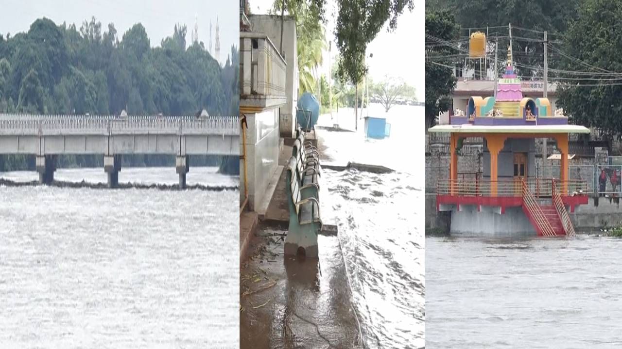 ಅಪಾಯದ ಮಟ್ಟ ಮೀರಿ ಹರಿಯುತ್ತಿರೋ ಜೀವನದಿ ಕಾವೇರಿ; ಸ್ನಾನಘಟ್ಟ ಮುಳುಗಡೆ, ದೇವಸ್ಥಾನಕ್ಕೆ ಜಲದಿಗ್ಬಂಧನ ಅಪಾಯದ ಮಟ್ಟ ಮೀರಿ ಹರಿಯುತ್ತಿರೋ ಜೀವನದಿ ಕಾವೇರಿ; ಸ್ನಾನಘಟ್ಟ ಮುಳುಗಡೆ, ದೇವಸ್ಥಾನಕ್ಕೆ ಜಲದಿಗ್ಬಂಧನ