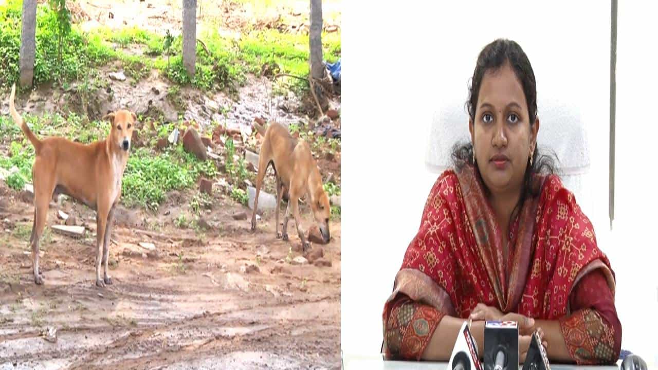ತುಮಕೂರಿನಲ್ಲಿ ಹೆಚ್ಚಿದ ಬೀದಿ ನಾಯಿಗಳ ನಿಯಂತ್ರಣಕ್ಕೆ ಪಾಲಿಕೆ ಹೊಸ ಪ್ಲಾನ್ ತುಮಕೂರಿನಲ್ಲಿ ಹೆಚ್ಚಿದ ಬೀದಿ ನಾಯಿಗಳ ನಿಯಂತ್ರಣಕ್ಕೆ ಪಾಲಿಕೆ ಹೊಸ ಪ್ಲಾನ್
