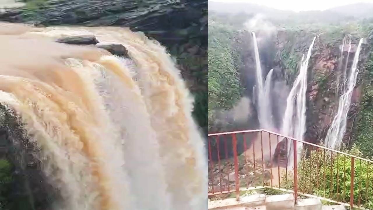 Jog Falls: ಹಾಲ್ನೊರೆಯಂತೆ ಕಂಗೊಳಿಸುತ್ತಿದೆ ವಿಶ್ವವಿಖ್ಯಾತ ಜೋಗ ಜಲಪಾತ