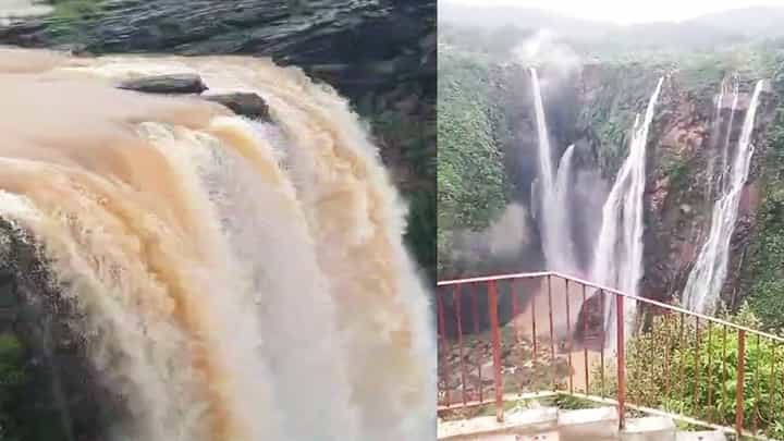 Jog Falls: ಹಾಲ್ನೊರೆಯಂತೆ ಕಂಗೊಳಿಸುತ್ತಿದೆ ವಿಶ್ವವಿಖ್ಯಾತ ಜೋಗ ಜಲಪಾತ Jog Falls: ಹಾಲ್ನೊರೆಯಂತೆ ಕಂಗೊಳಿಸುತ್ತಿದೆ ವಿಶ್ವವಿಖ್ಯಾತ ಜೋಗ ಜಲಪಾತ