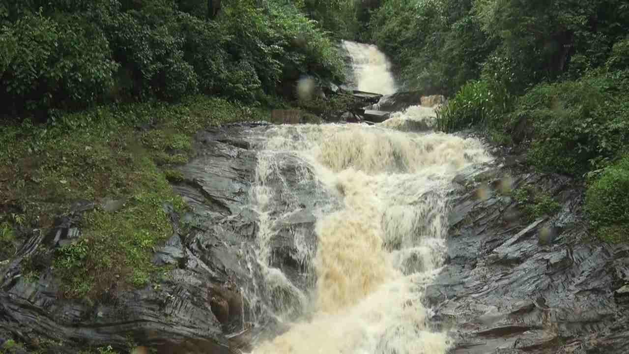 ಚಿಕ್ಕಮಗಳೂರು ಜಿಲ್ಲೆಯ ಕೊಪ್ಪ ತಾಲ್ಲೂಕಿನ ಗುಡ್ಡೆತೋಟ ಗ್ರಾಮಪಂಚಾಯಿತಿ ವ್ಯಾಪ್ತಿಯಲ್ಲಿ ತೀರ್ಥಕೆರೆ ಫಾಲ್ಸ್ ಮೈತುಂಬಿ ಹರಿಯುತ್ತಿದೆ. ದಟ್ಟ ಕಾನನದ ನಡುವೆ ಹಸಿರು ಹಾದಿಯನ್ನು ಸೀಳಿ ತೀರ್ಥಕೆರೆ ಫಾಲ್ಸ್ ಭೋರ್ಗರೆಯುತ್ತಿದೆ.