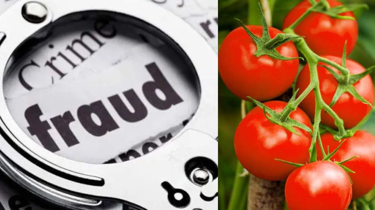 ಟಮೊಟೊ ವ್ಯಾಪಾರಿಗೆ 30 ಲಕ್ಷ ರೂ ಉಂಡೇನಾಮ! ಹಣದ ಬದಲಿಗೆ ಬಿಳಿ ಹಾಳೆ ಕಳುಹಿಸಿ ವಂಚನೆ ಟಮೊಟೊ ವ್ಯಾಪಾರಿಗೆ 30 ಲಕ್ಷ ರೂ ಉಂಡೇನಾಮ! ಹಣದ ಬದಲಿಗೆ ಬಿಳಿ ಹಾಳೆ ಕಳುಹಿಸಿ ವಂಚನೆ