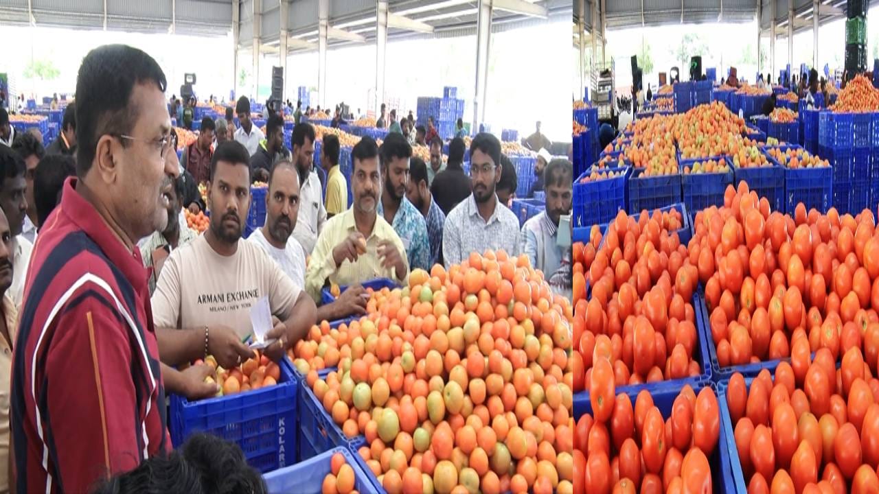 Tomato Price: ಹೆಚ್ಚಿದ ಕೆಂಪು ಸುಂದರಿ ಬೆಲೆ ; ಸಂತಸದಲ್ಲಿ ರೈತರು Tomato Price: ಹೆಚ್ಚಿದ ಕೆಂಪು ಸುಂದರಿ ಬೆಲೆ ; ಸಂತಸದಲ್ಲಿ ರೈತರು