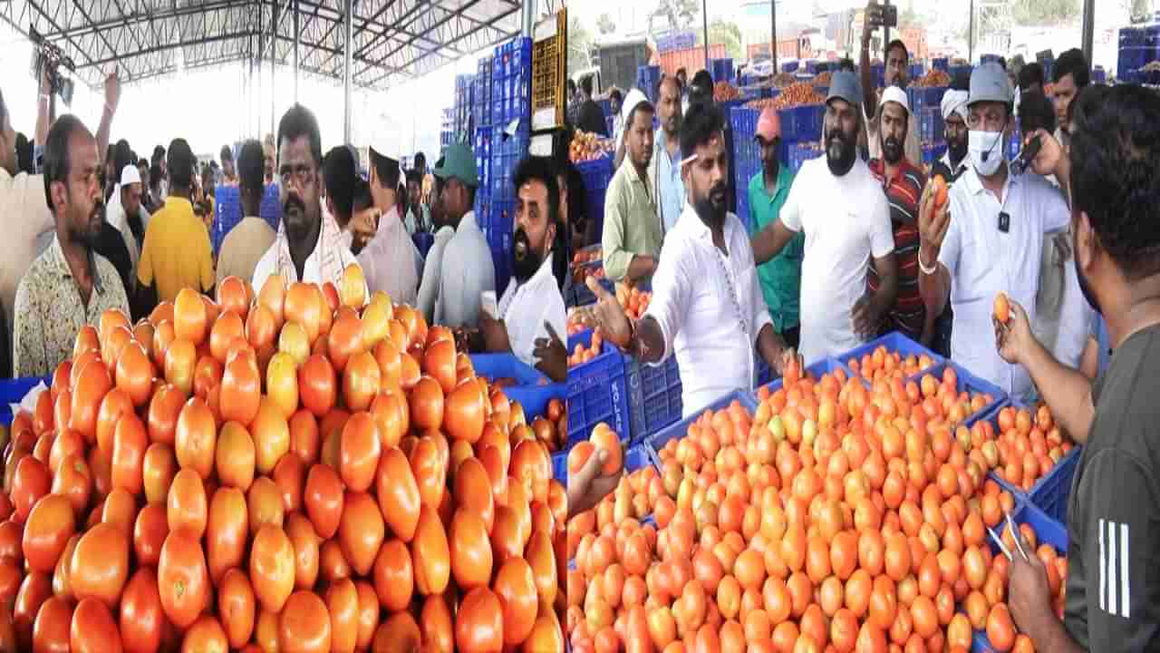 ಟೊಮೆಟೊ ದರದಲ್ಲಿ ಹಾವು ಏಣಿ ಆಟ: ಕೆಂಪು ಸುಂದರಿಗೆ ಈಗ ಎಷ್ಟು ಡಿಮ್ಯಾಂಡ್ ಇದೆ ಗೊತ್ತಾ?