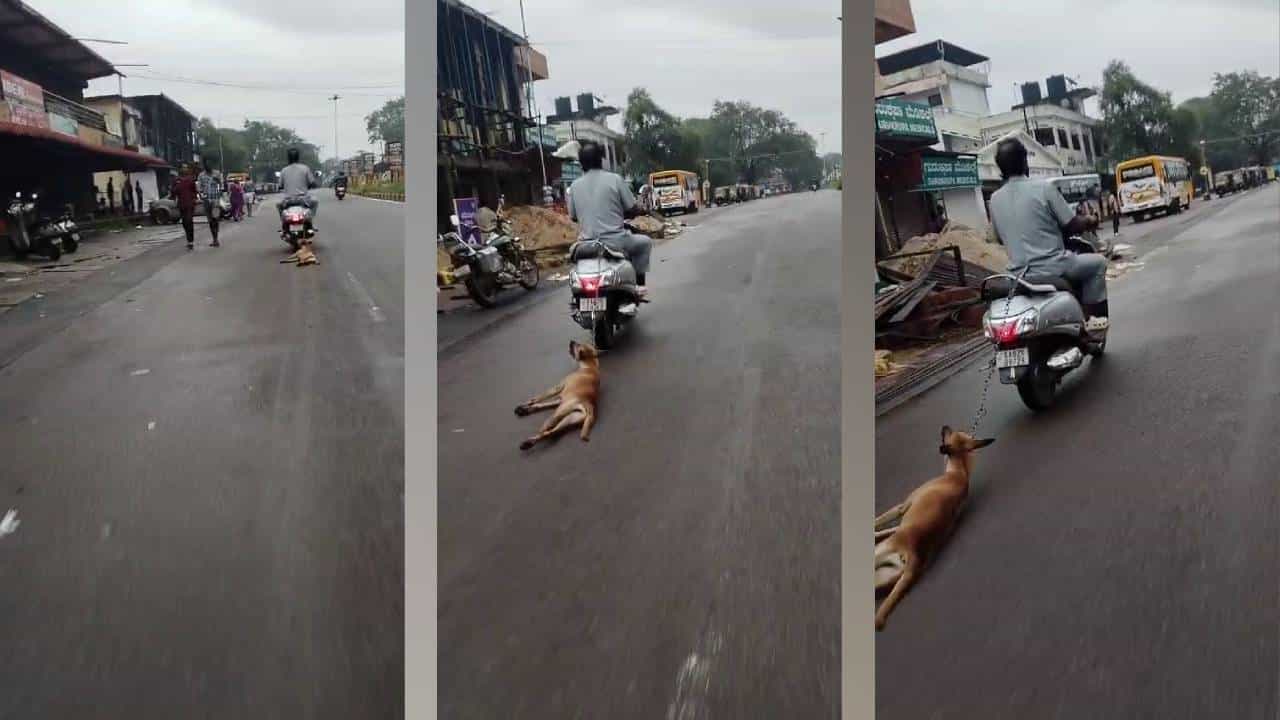 ಉಡುಪಿ: ದ್ವಿಚಕ್ರ ವಾಹನಕ್ಕೆ ನಾಯಿ ಕಟ್ಟಿ ಎಳೆದೊಯ್ದ ವ್ಯಕ್ತಿ ಉಡುಪಿ: ದ್ವಿಚಕ್ರ ವಾಹನಕ್ಕೆ ನಾಯಿ ಕಟ್ಟಿ ಎಳೆದೊಯ್ದ ವ್ಯಕ್ತಿ