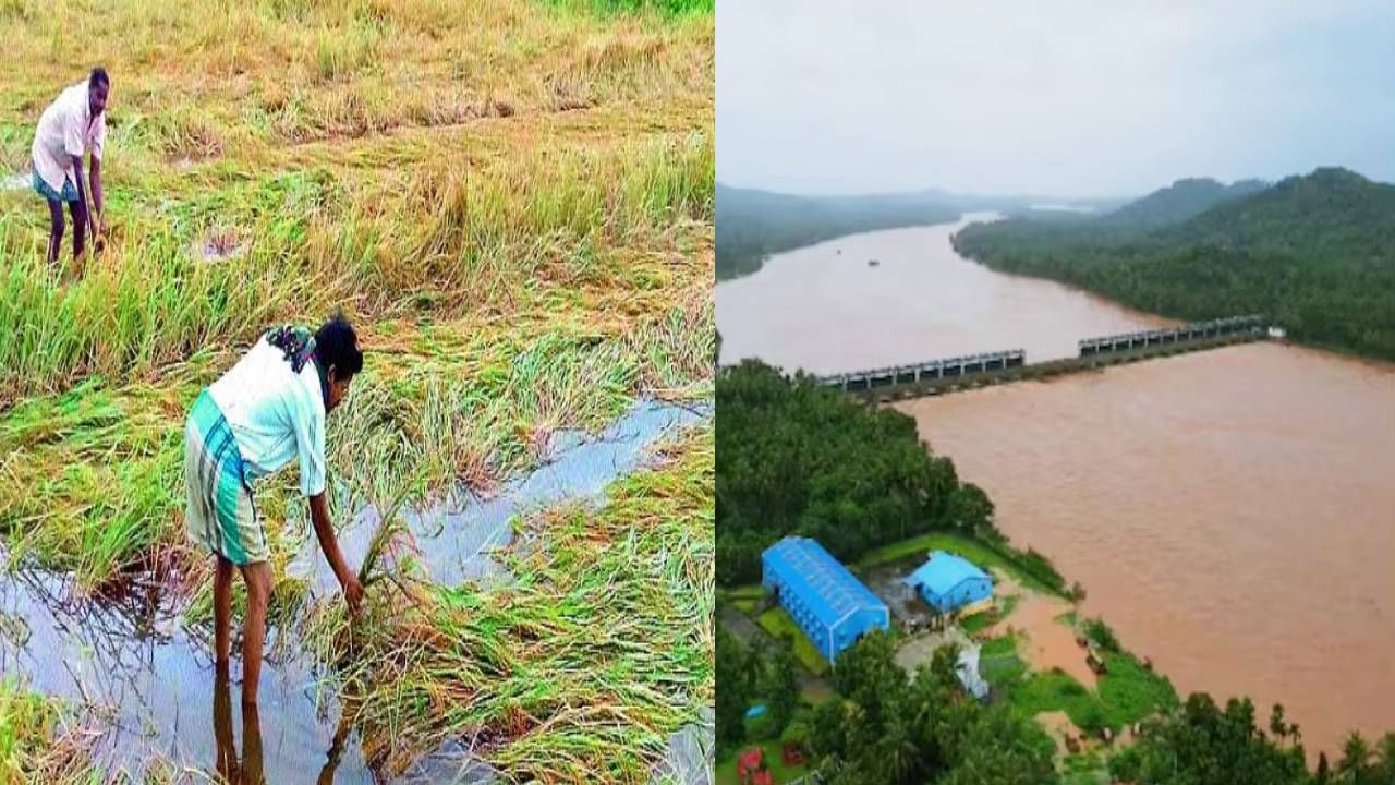 ಅಲ್ಲೋಲ ಕಲ್ಲೋಲ ಸೃಷ್ಟಿಸಿದ ಮುಂಗಾರು ಮಳೆ: ಉಡುಪಿಯಲ್ಲಿ ಈಗ ನಷ್ಟದ ಲೆಕ್ಕಾಚಾರ ಶುರು