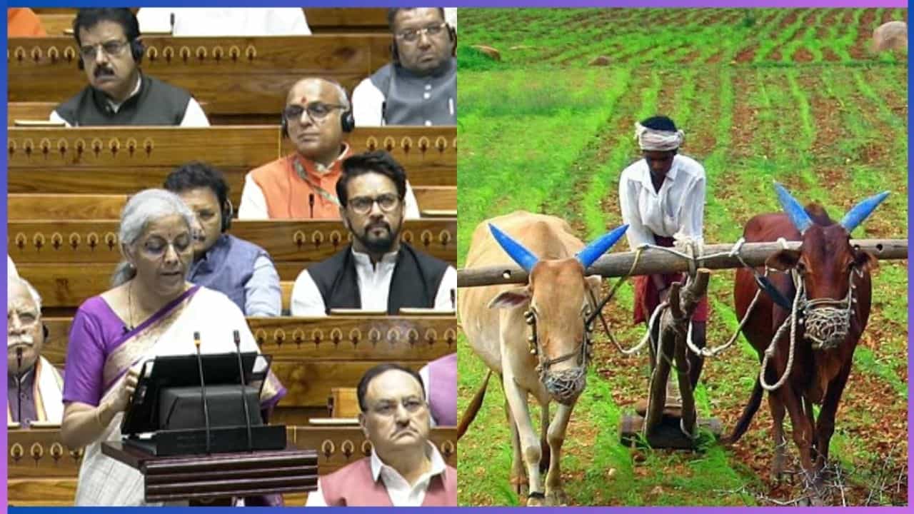 Union Budget 2024: ರೈತರಿಗೆ ಕಿಸಾನ್ ಕ್ರೆಡಿಟ್ ಕಾರ್ಡ್, ಕೃಷಿ ಕ್ಷೇತ್ರಕ್ಕೆ ಮೋದಿ ನೀಡಿದ ಅನುದಾನ ಎಷ್ಟು? Union Budget 2024: ರೈತರಿಗೆ ಕಿಸಾನ್ ಕ್ರೆಡಿಟ್ ಕಾರ್ಡ್, ಕೃಷಿ ಕ್ಷೇತ್ರಕ್ಕೆ ಮೋದಿ ನೀಡಿದ ಅನುದಾನ ಎಷ್ಟು?