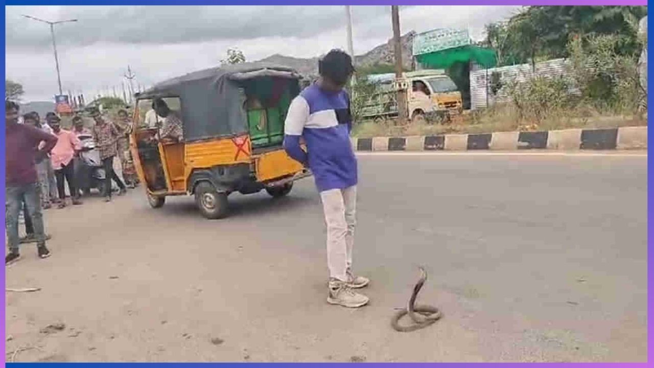 Video: ಹಾವಿನೊಂದಿಗೆ ಚೆಲ್ಲಾಟವಾಡಲು ಹೋಗಿ ಆಸ್ಪತ್ರೆ ಸೇರಿದ ಕುಡುಕ