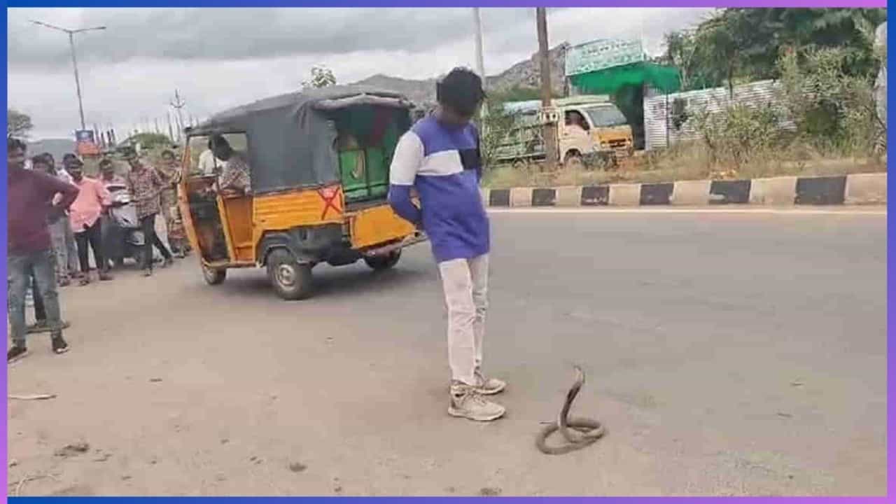 Video: ಹಾವಿನೊಂದಿಗೆ ಚೆಲ್ಲಾಟವಾಡಲು ಹೋಗಿ ಆಸ್ಪತ್ರೆ ಸೇರಿದ ಕುಡುಕ Video: ಹಾವಿನೊಂದಿಗೆ ಚೆಲ್ಲಾಟವಾಡಲು ಹೋಗಿ ಆಸ್ಪತ್ರೆ ಸೇರಿದ ಕುಡುಕ