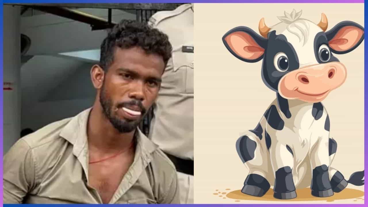 Viral: ಹಸುವನ್ನು ಬಿಡದ ಕಾಮುಕ; ಗೋವಿನ ಮೇಲೆ ಅತ್ಯಾಚಾರ ಎಸಗಿದ ಪಾಪಿ Viral: ಹಸುವನ್ನು ಬಿಡದ ಕಾಮುಕ; ಗೋವಿನ ಮೇಲೆ ಅತ್ಯಾಚಾರ ಎಸಗಿದ ಪಾಪಿ