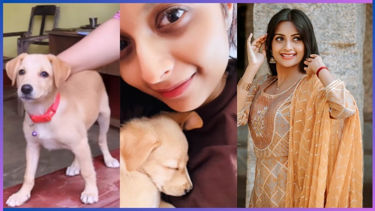 Viral Video: ಮಂಗಳೂರು ಟ್ರಿಪ್ನಲ್ಲಿ ಸಿಕ್ಕ ಜರ್ನಿ, ಕಸದ ತೊಟ್ಟಿಯಲ್ಲಿ ಬಿದ್ದಿದ್ದ ನಾಯಿಗೆ ಆಸರೆಯಾದ ಸತ್ಯ ಸೀರಿಯಲ್ನ ರಿತು Viral Video: ಮಂಗಳೂರು ಟ್ರಿಪ್ನಲ್ಲಿ ಸಿಕ್ಕ ಜರ್ನಿ, ಕಸದ ತೊಟ್ಟಿಯಲ್ಲಿ ಬಿದ್ದಿದ್ದ ನಾಯಿಗೆ ಆಸರೆಯಾದ ಸತ್ಯ ಸೀರಿಯಲ್ನ ರಿತು
