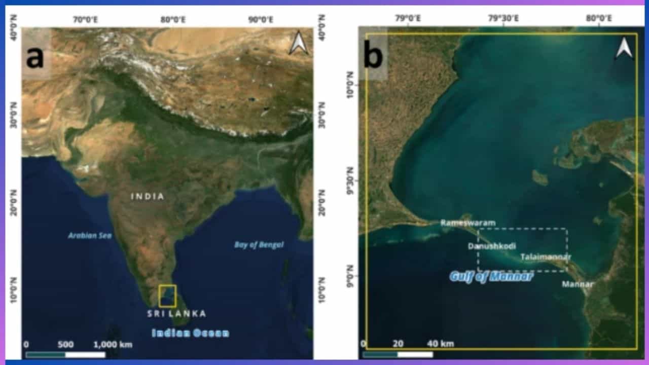 Ram Setu: ರಾಮ ಸೇತು ಇಲ್ಲ ಎಂದಿದ್ದ ಕಾಂಗ್ರೆಸ್, ಸೇತುವೆಯ ವಿವರವಾದ ನಕ್ಷೆ ತಯಾರಿಸಿದ ಇಸ್ರೋ ವಿಜ್ಞಾನಿಗಳು Ram Setu: ರಾಮ ಸೇತು ಇಲ್ಲ ಎಂದಿದ್ದ ಕಾಂಗ್ರೆಸ್, ಸೇತುವೆಯ ವಿವರವಾದ ನಕ್ಷೆ ತಯಾರಿಸಿದ ಇಸ್ರೋ ವಿಜ್ಞಾನಿಗಳು
