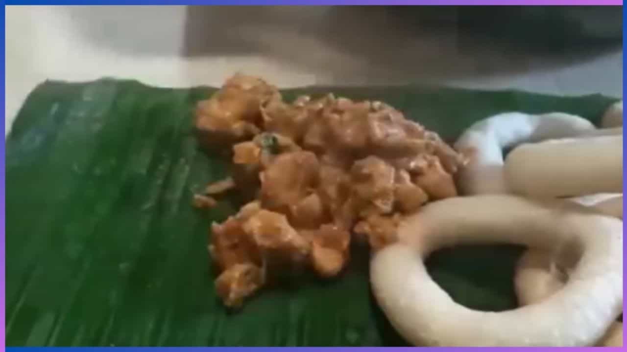 Malnad Special Food : ಮಲೆನಾಡಿನ ಸಾಂಪ್ರದಾಯಿಕ ಅಡುಗೆ ಕೋಳಿ ಕಜ್ಜಾಯ, ಇಲ್ಲಿದೆ ರೆಸಿಪಿ Malnad Special Food : ಮಲೆನಾಡಿನ ಸಾಂಪ್ರದಾಯಿಕ ಅಡುಗೆ ಕೋಳಿ ಕಜ್ಜಾಯ, ಇಲ್ಲಿದೆ ರೆಸಿಪಿ