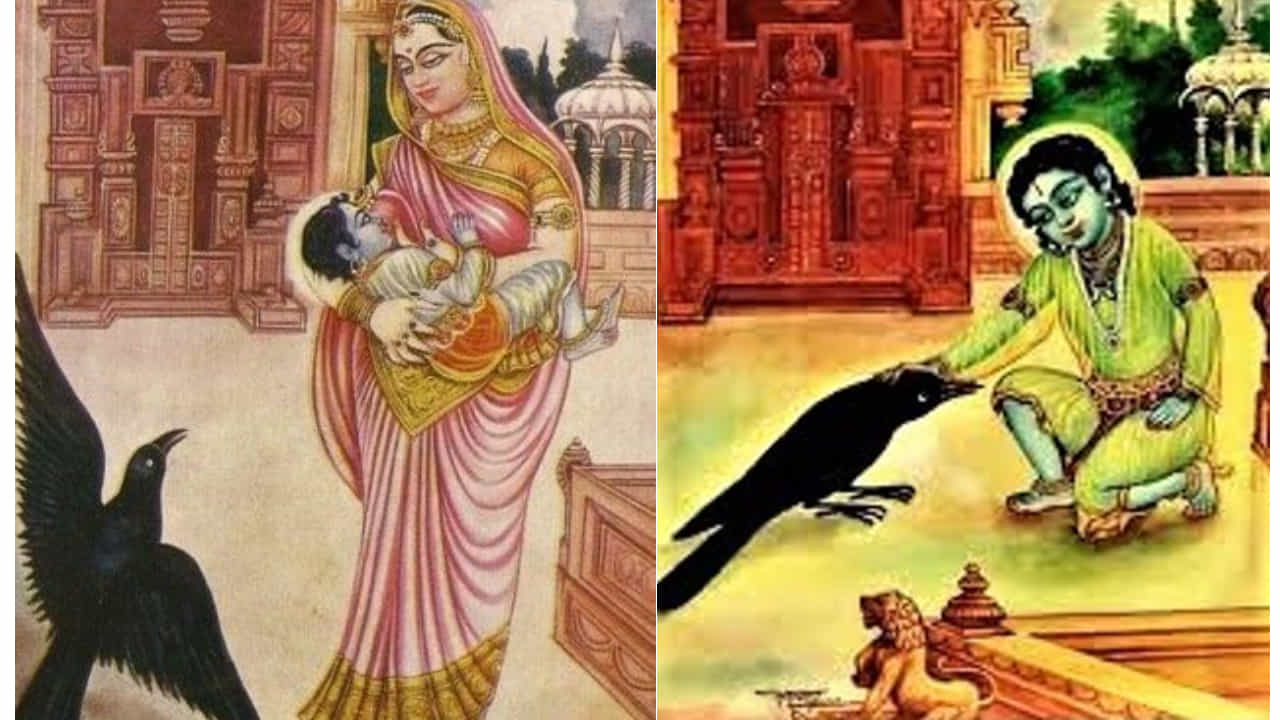 Kakabhushundi In Ramayana: ರಾಮಾಯಣದಲ್ಲಿ ಕಾಕಭುಶುಂಡಿ ಯಾರು? ಕಾಗೆಗೆ ಶಾಪ ಕೊಟ್ಟವರು ಯಾರು ಗೊತ್ತಾ? Kakabhushundi In Ramayana: ರಾಮಾಯಣದಲ್ಲಿ ಕಾಕಭುಶುಂಡಿ ಯಾರು? ಕಾಗೆಗೆ ಶಾಪ ಕೊಟ್ಟವರು ಯಾರು ಗೊತ್ತಾ?