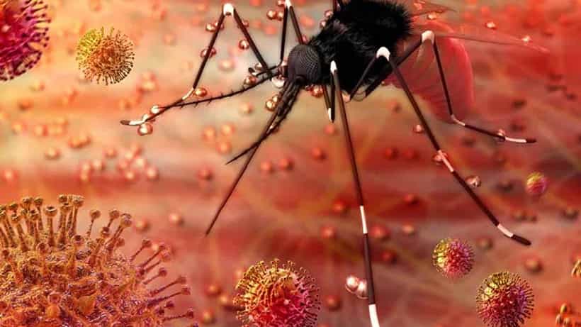 Zika Virus: ಮಹಾರಾಷ್ಟ್ರದಲ್ಲಿ ಝಿಕಾ ವೈರಸ್ ಹೆಚ್ಚಳ, ಎಲ್ಲಾ ರಾಜ್ಯಗಳಿಗೆ ಕೇಂದ್ರದ ಸಲಹೆ