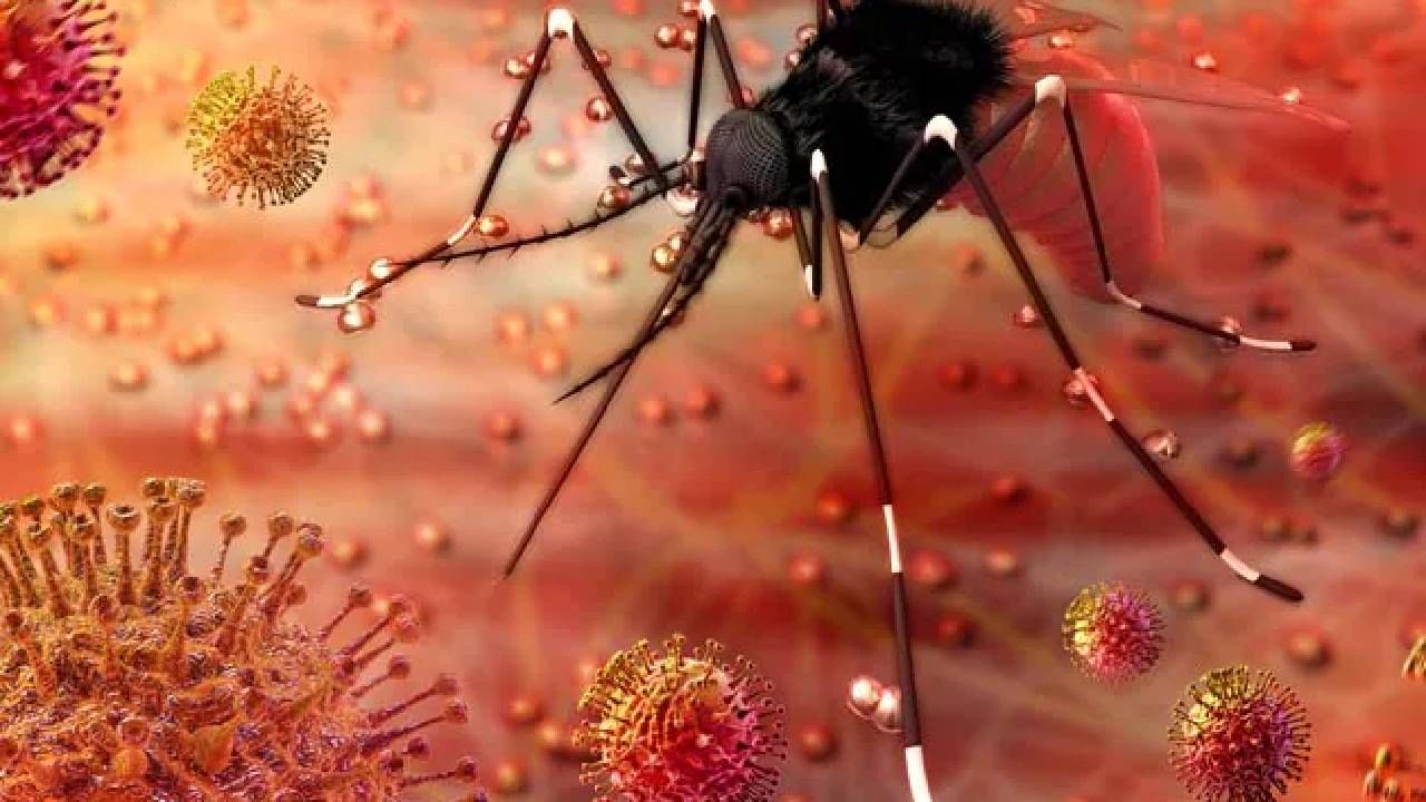 Zika Virus: ಮಹಾರಾಷ್ಟ್ರದಲ್ಲಿ ಝಿಕಾ ವೈರಸ್​ ಹೆಚ್ಚಳ, ಎಲ್ಲಾ ರಾಜ್ಯಗಳಿಗೆ ಕೇಂದ್ರದ ಸಲಹೆ