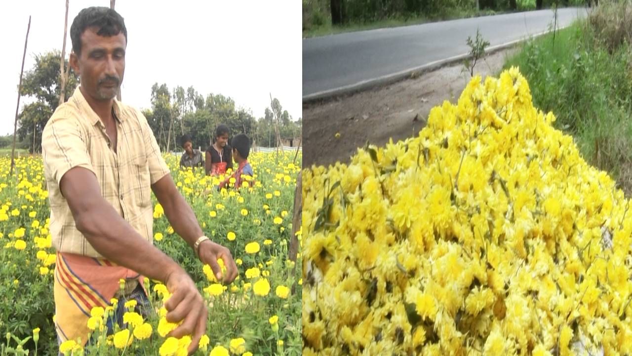 ಇನ್ನು ಕೋಲಾರ ಜಿಲ್ಲೆಯಲ್ಲಿ ತರಕಾರಿ ಜೊತೆಗೆ ಹೂವು ಬೆಳೆಯನ್ನು ಹೆಚ್ಚಾಗಿ ರೈತರು ಬೆಳೆಯುತ್ತಾರೆ ಜಿಲ್ಲೆಯಲ್ಲಿ ಚೆಂಡು ಹೂವು, ಸೇವಂತಿ, ಗುಲಾಬಿ, ಬಟನ್​ ಗುಲಾಬಿ ಸೇರಿದಂತೆ ಹಲವು ಹೂವುಗಳನ್ನು ಬೆಳೆಯುತ್ತಾರೆ. ಕೇರಳ, ‌ಆಂಧ್ರಪ್ರದೇಶದ ವಿಶಾಖಪಟ್ಟಣಂ, ವಿಜಯವಾಡ, ಹೈದರಾಬಾದ್ ಹಾಗೂ ತಮಿಳುನಾಡಿನ ಹಲವು ಕಡೆಗೆ ಕಳಿಸಲಾಗುತ್ತಿತ್ತು‌. ಆದರೆ, ಈಗ ಅಲ್ಲಿಯೂ ಬೇಡಿಕೆ ಇಲ್ಲದೆ ಹೊರರಾಜ್ಯದ ವ್ಯಾಪಾರಸ್ಥರು ಬರುತ್ತಿಲ್ಲ.
