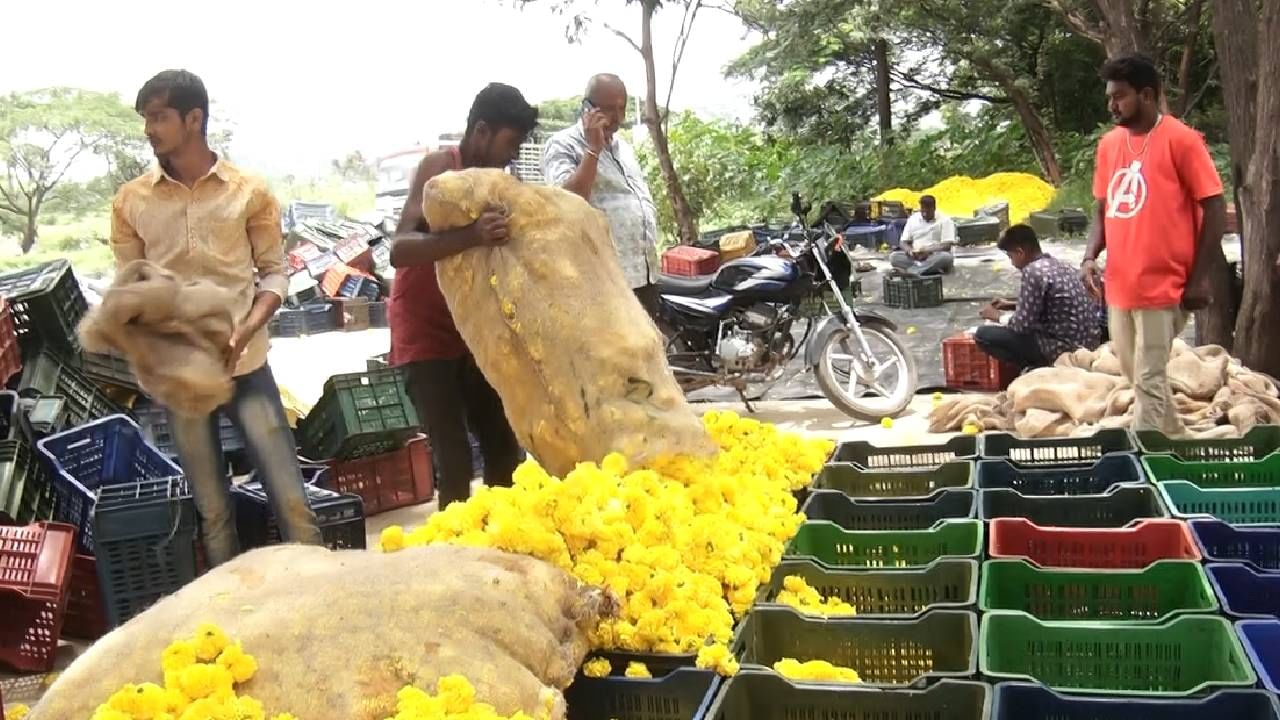 ಕಳೆದೊಂದು ವಾರದಿಂದ ಕೋಲಾರದಲ್ಲಿ ಹೂವು ಬೆಳೆಗಾರರು ಪರಿಸ್ಥಿತಿ ಡೋಲಾಯಮಾನವಾಗಿದೆ. ಶ್ರಾವಣದಲ್ಲಿ ಬರುವ ಸಾಲು ಸಾಲು ಹಬ್ಬಗಳು, ಶುಭ ಸಮಾರಂಭಗಳಿಂದ ಒಂದಷ್ಟು ಹಣ ಗಳಿಸಬಹುದೆಂಬ ಲೆಕ್ಕಾಚಾರದಲ್ಲಿ ಹೂವು ಬೆಳೆದ ರೈತರ ಲೆಕ್ಕಾ ಸಂಪೂರ್ಣವಾಗಿ ತಲೆಕೆಳಗಾಗಿದೆ.