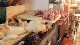 ಡ್ರಂಕ್ ಅಂಡ್ ಡ್ರೈವ್ ಬೇಟೆಗೆ ಇಳಿದ ಟ್ರಾಫಿಕ್ ಪೊಲೀಸ್​​: ಒಂದೇ ದಿನಕ್ಕೆ 779 ಪ್ರಕರಣ ದಾಖಲು