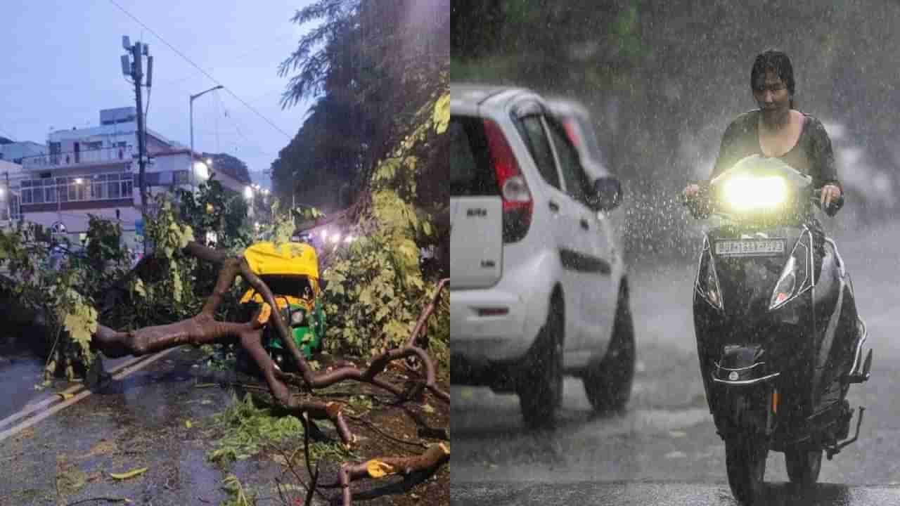 ಬೆಂಗಳೂರಿನಲ್ಲಿ ಮಳೆರಾಯನ ಆರ್ಭಟ: ವಾಹನ ಸವಾರರು ಪರದಾಟ, ಆಟೋ ಮೇಲೆ ಬಿದ್ದ ಮರ