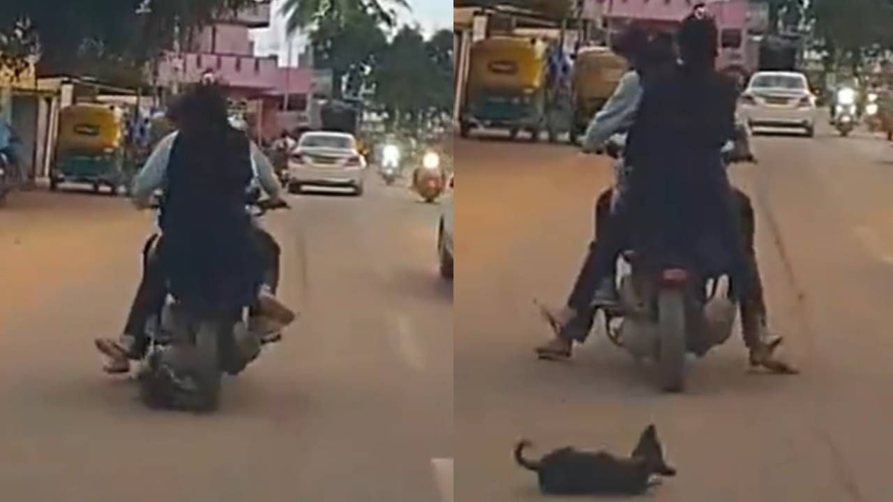 ನಾಯಿ ಮೇಲೆ ಹರಿದ ತ್ರಿಬಲ್ ರೈಡರ್ಸ್ ಬೈಕ್: ವಿಡಿಯೋ ವೈರಲ್