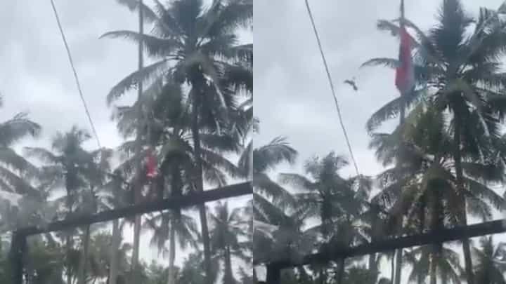 ಕೇರಳ: ಹಾರಿ ಬಂದು ಧ್ವಜಸ್ತಂಭದಲ್ಲಿ ಸಿಲುಕಿದ್ದ ರಾಷ್ಟ್ರಧ್ವಜ ಬಿಡಿಸಿದ ಹಕ್ಕಿ, ನಿಜವಾಗಿಯೂ ನಡೆದಿದ್ದೇನು? ಕೇರಳ: ಹಾರಿ ಬಂದು ಧ್ವಜಸ್ತಂಭದಲ್ಲಿ ಸಿಲುಕಿದ್ದ ರಾಷ್ಟ್ರಧ್ವಜ ಬಿಡಿಸಿದ ಹಕ್ಕಿ, ನಿಜವಾಗಿಯೂ ನಡೆದಿದ್ದೇನು?