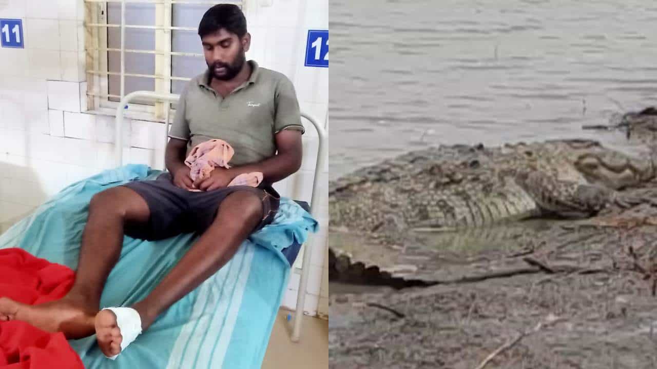 ಚಿರತೆ ಜತೆ ಹೋರಾಡಿ ಪ್ರಾಣ ಉಳಿಸಿಕೊಂಡ ಯುವಕ: ಮೊಸಳೆಯಿಂದ ವ್ಯಕ್ತಿ ಗ್ರೇಟ್ ಎಸ್ಕೇಪ್ ಚಿರತೆ ಜತೆ ಹೋರಾಡಿ ಪ್ರಾಣ ಉಳಿಸಿಕೊಂಡ ಯುವಕ: ಮೊಸಳೆಯಿಂದ ವ್ಯಕ್ತಿ ಗ್ರೇಟ್ ಎಸ್ಕೇಪ್