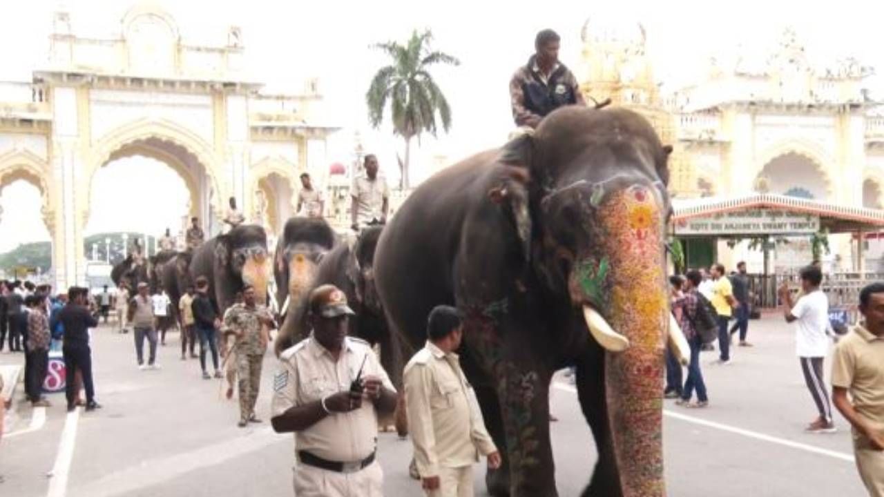 ಅಭಿಮನ್ಯು ನೇತೃತ್ವದ ಗಜಪಡೆಗೆ ತಾಲೀಮು ಆರಂಭಿಸಲಾಯ್ತು. ಆನೆಗಳನ್ನು ಮೈಸೂರು ಅರಮನೆಯಿಂದ ಹೊರಗೆ ಕರೆದುಕೊಂಡು ಬರಲಾಯ್ತು. ಬಲರಾಮ ದ್ವಾರದ ಮೂಲಕ ಮೈಸೂರು ರಾಜಬೀದಿಗೆ ಅಭಿಮನ್ಯು ನೇತೃತ್ವದಲ್ಲಿ 8 ಆನೆಗಳು ತಾಲೀಮಿನಲ್ಲಿ ಭಾಗಿಯಾಗಿದ್ದವು.