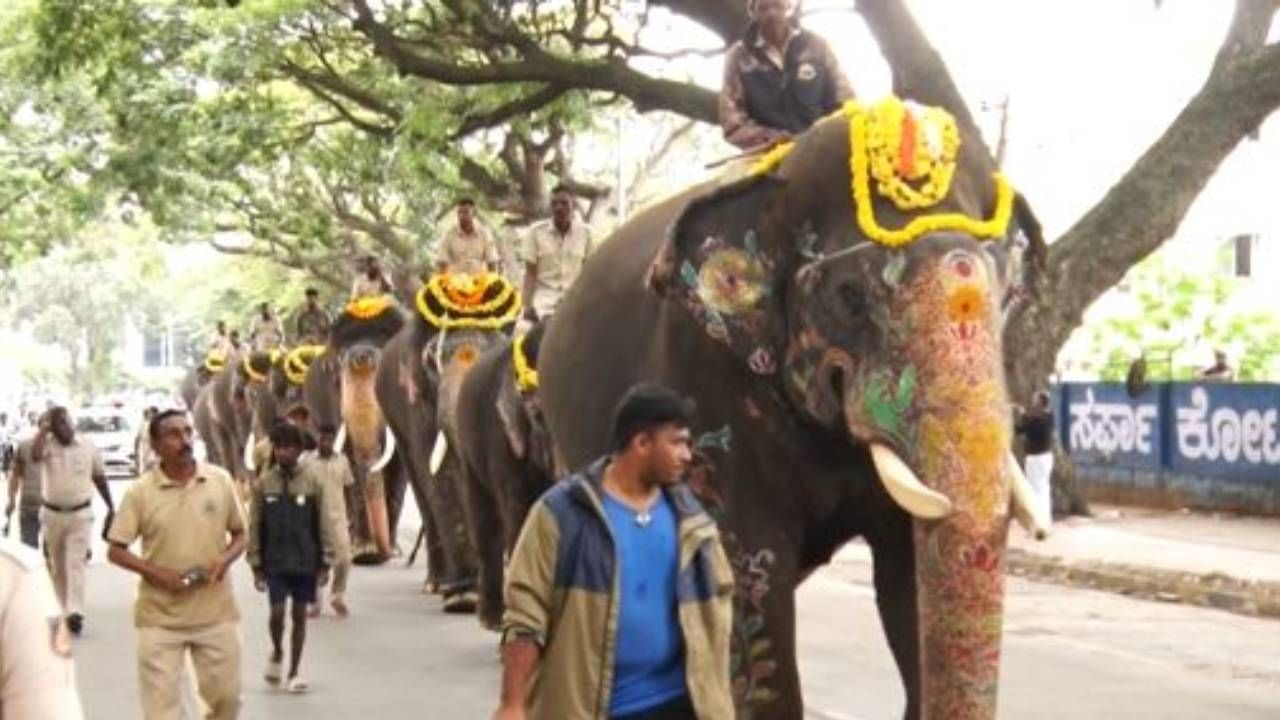 ಅರಮನೆಯಿಂದ ಹೊರಬಂದ ಆನೆಗಳು ಅರಮನೆ ವೃತ್ತ, ಕೆಆರ್ ವೃತ್ತ, ಸಯ್ಯಾಜಿರಾವ್ ರಸ್ತೆ ಆಯುರ್ವೇದ ಆಸ್ಪತ್ರೆ, ತಿಲಕ್ ನಗರ ಬಂಬೂಬಜಾರ್ ಹೈವೇ ವೃತ್ತದ ಮೂಲಕ ಸಾಗಿ ಬನ್ನಿಮಂಟಪದ ಪಂಜಿನ ಕವಾಯತು ಮೈದಾನ ತಲುಪಿದವು. ಆನೆಗಳ ಆರೋಗ್ಯದ ದೃಷ್ಟಿಯಿಂದ ಈ ತಾಲೀಮು ಸಾಕಷ್ಟು ಮಹತ್ವ ಪಡೆದುಕೊಂಡಿದೆ.
