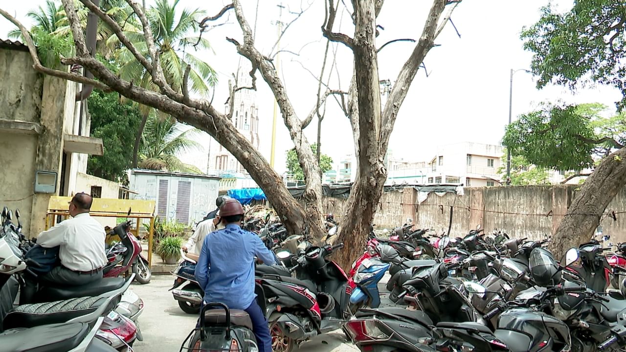 ಬೆಂಗಳೂರು: ನಗರದ ಹಲವೆಡೆ ಬಲಿಗಾಗಿ ಕಾಯುತ್ತಿವೆ ಬೃಹತ್ ಮರಗಳು, ಹದಿನೈದು ದಿನದಲ್ಲಿ ಏಳು ಜನರ ಮೇಲೆ ಬಿದ್ದ ಮರ