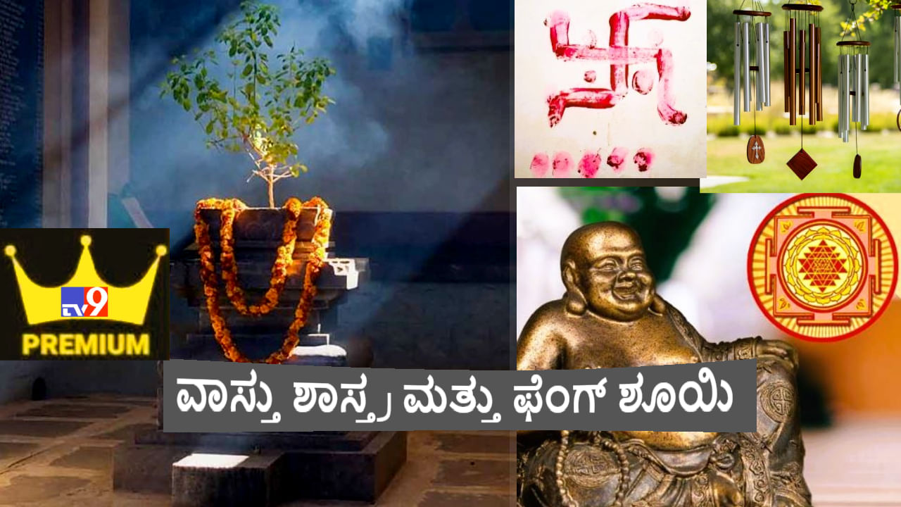 Vastu Shastra vs Feng Shui: ಚೀನಾದ ಫೆಂಗ್ ಶೂಯಿ ಶಾಸ್ತ್ರಕ್ಕೂ, ನಮ್ಮ ವಾಸ್ತು ಶಾಸ್ತ್ರಕ್ಕೂ ಇರುವ ವ್ಯತ್ಯಾಸಗಳೇನು? ಇಲ್ಲಿದೆ ಶಾಸ್ತ್ರೋಕ್ತ ವಿವರಣೆ