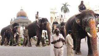 ಪೆನ್ಸಿಲ್​ನಲ್ಲಿ ಮೂಡಿಬಂದ ಬಾಲ ಕೃಷ್ಣ; ಇಲ್ಲಿವೆ ಫೋಟೋಸ್​