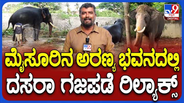 ಗಜಪಡೆಯ ಆಗಮನದೊಂದಿಗೆ ಮೈಸೂರಲ್ಲಿ ಶುರುವಾದ ದಸರಾ ಮಹೋತ್ಸವ-2024 ಕಲರವ ಗಜಪಡೆಯ ಆಗಮನದೊಂದಿಗೆ ಮೈಸೂರಲ್ಲಿ ಶುರುವಾದ ದಸರಾ ಮಹೋತ್ಸವ-2024 ಕಲರವ