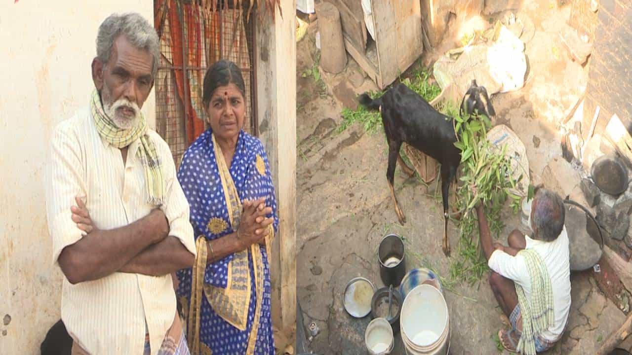ಮನೆಯೊಳಗಡೆಯೇ ಕುರಿ-ಮೇಕೆಗಳನ್ನ ಬಿಟ್ಟು ಮನೆ ಸೀಜ್ ಮಾಡಿದ ಪೈನಾನ್ಸ್ ಸಿಬ್ಬಂದಿ; 2 ತಿಂಗಳಿಂದ ಮೇವು ನೀಡಲು ವೃದ್ದರ ಪರದಾಟ ಮನೆಯೊಳಗಡೆಯೇ ಕುರಿ-ಮೇಕೆಗಳನ್ನ ಬಿಟ್ಟು ಮನೆ ಸೀಜ್ ಮಾಡಿದ ಪೈನಾನ್ಸ್ ಸಿಬ್ಬಂದಿ; 2 ತಿಂಗಳಿಂದ ಮೇವು ನೀಡಲು ವೃದ್ದರ ಪರದಾಟ