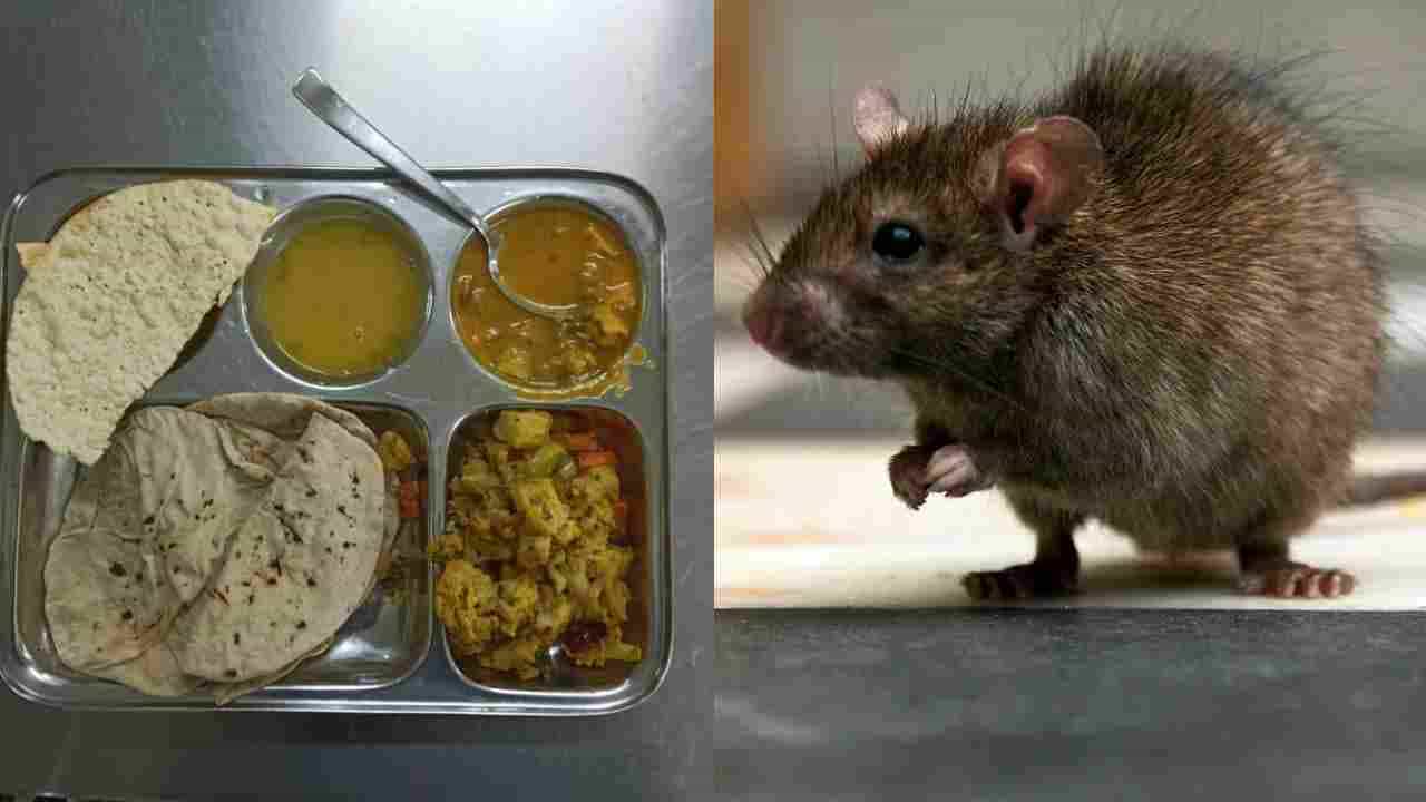 ಬೆಂಗಳೂರು: ಊಟದ ವೇಳೆ ಇಲಿ ಪಾಷಾಣ ಸ್ಪ್ರೇ! 20ಕ್ಕೂ ಹೆಚ್ಚು ನರ್ಸಿಂಗ್ ವಿದ್ಯಾರ್ಥಿಗಳು ಅಸ್ವಸ್ಥ ಬೆಂಗಳೂರು: ಊಟದ ವೇಳೆ ಇಲಿ ಪಾಷಾಣ ಸ್ಪ್ರೇ! 20ಕ್ಕೂ ಹೆಚ್ಚು ನರ್ಸಿಂಗ್ ವಿದ್ಯಾರ್ಥಿಗಳು ಅಸ್ವಸ್ಥ