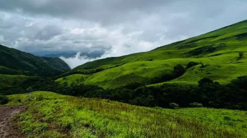 ವಯನಾಡ್ ದುರಂತದ ಭಯ: ಆದೇಶ ಹೊರಡಿಸಿದ 24 ಗಂಟೆಯಲ್ಲೇ 69 ಎಕರೆ ಅರಣ್ಯ ಒತ್ತುವರಿ ತೆರವು