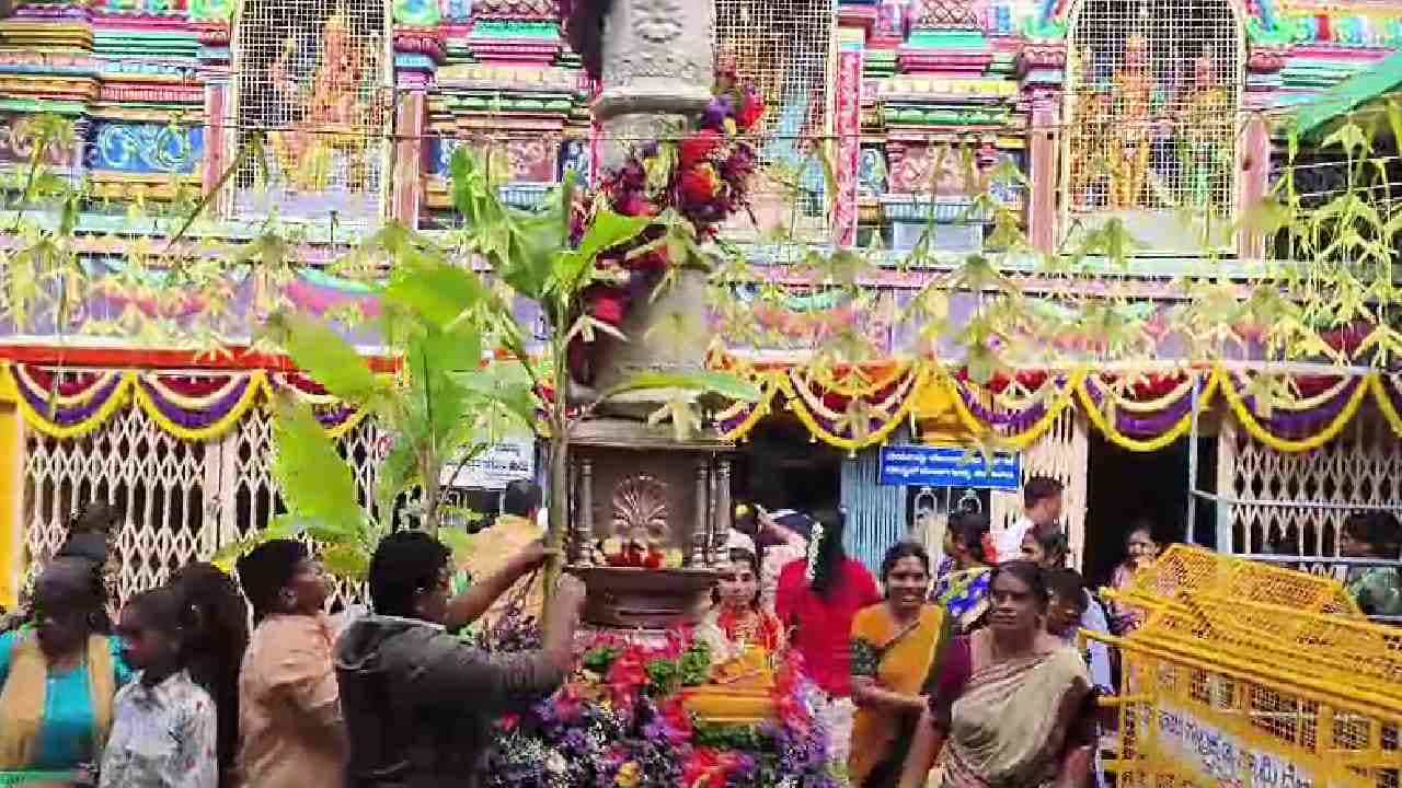 ಬೆಂಗಳೂರು ಗ್ರಾಮಾಂತರ ಜಿಲ್ಲೆ ದೊಡ್ಡಬಳ್ಳಾಪುರ ತಾಲೂಕಿನ ಶ್ರೀಕ್ಷೇತ್ರ ಘಾಟಿ ಸುಬ್ರಮಣ್ಯದಲ್ಲಿ ನಾಗರ ಪಂಚಮಿ ಹಬ್ಬದ ಸಂಭ್ರಮ ಮನೆಮಾಡಿದೆ. ಘಾಟಿ ಸುಬ್ರಹ್ಮಣ್ಯ ದೇವಾಲಯದಲ್ಲಿ ವಿಶೇಷ ಪೂಜೆ, ಅಭಿಷೇಕ, ಅಲಂಕಾರ ಮಾಡಲಾಗಿದೆ.