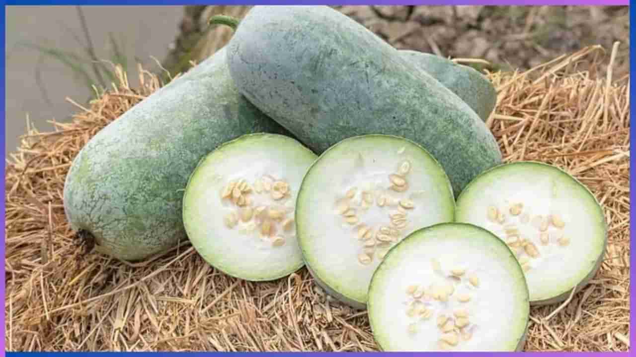 Ash Gourd: ಬೂದುಗುಂಬಳಕಾಯಿ ಸಿಹಿ ತಿಂಡಿ ಮಾಡಲು ಮಾತ್ರವಲ್ಲ, ಆರೋಗ್ಯಕ್ಕೂ ಒಳ್ಳೆಯದು