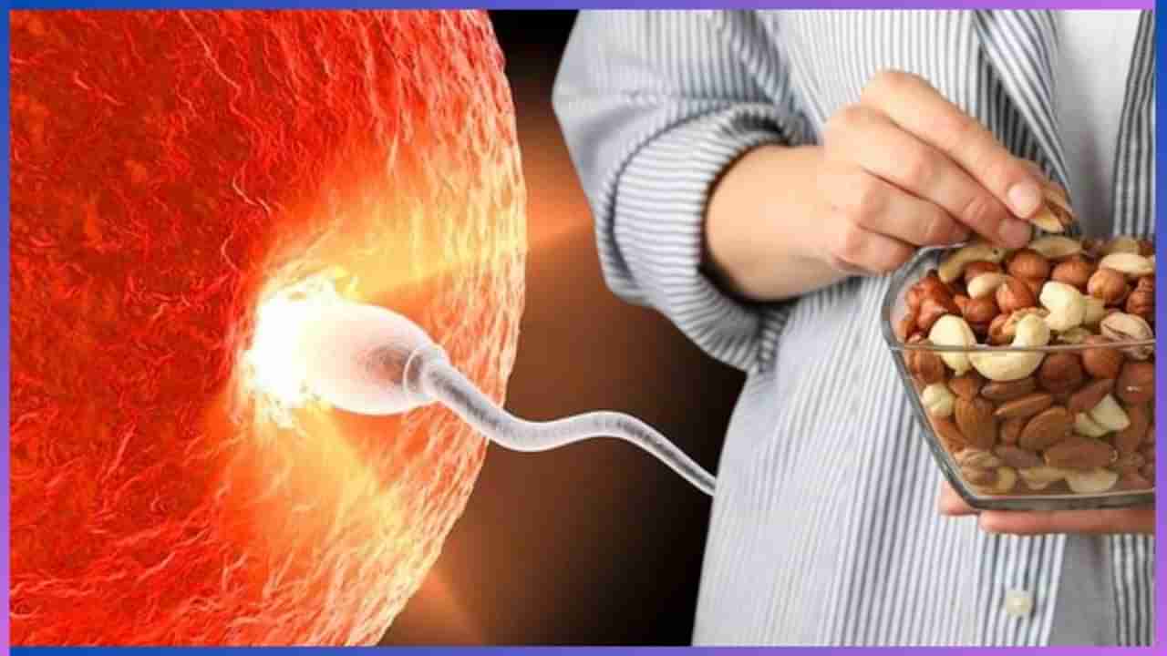 Food for male fertility: ಪುರುಷರ ವೀರ್ಯದ ಗುಣಮಟ್ಟ ಹೆಚ್ಚಿಸುತ್ತೆ ಈ ಆಹಾರಗಳು