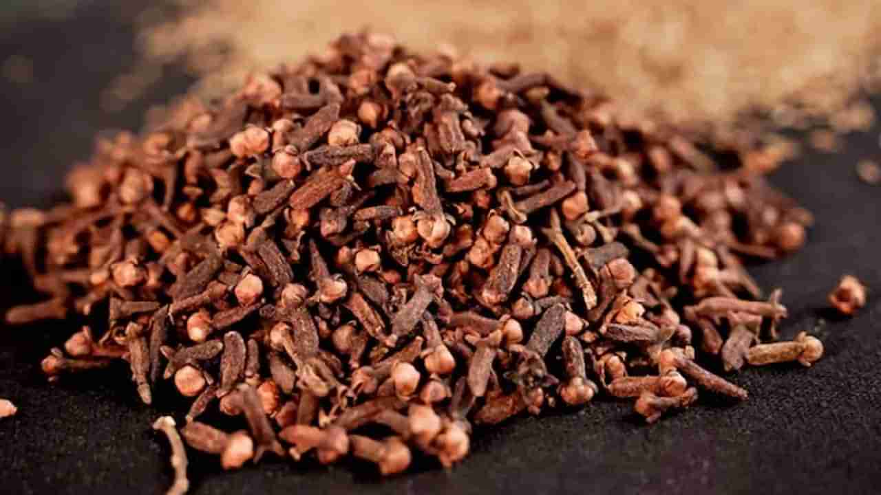 Cloves Benefits: ಚಾಕೊಲೇಟ್​, ಚೂಯಿಂಗ್ ಗಮ್ ಬದಲಿಗೆ ಪ್ರತಿದಿನ ಒಂದೆರಡು  ಲವಂಗ ಜಗಿಯಿರಿ