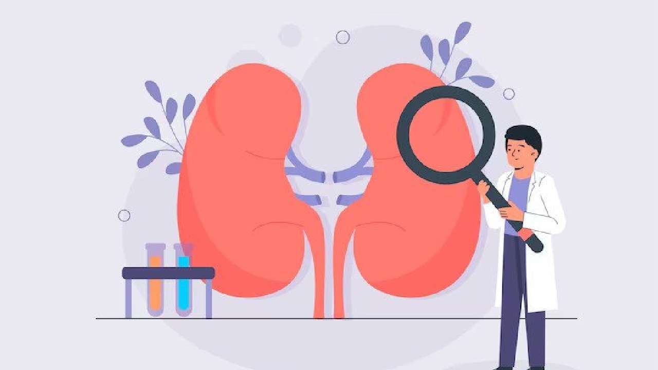 Health Tips: ಕಿಡ್ನಿ ವೈಫಲ್ಯಕ್ಕೂ ಮುನ್ನ ದೇಹದಲ್ಲಿ ಈ ರೀತಿಯ ಲಕ್ಷಣಗಳು ಕಂಡು ಬರುತ್ತವೆ Health Tips: ಕಿಡ್ನಿ ವೈಫಲ್ಯಕ್ಕೂ ಮುನ್ನ ದೇಹದಲ್ಲಿ ಈ ರೀತಿಯ ಲಕ್ಷಣಗಳು ಕಂಡು ಬರುತ್ತವೆ