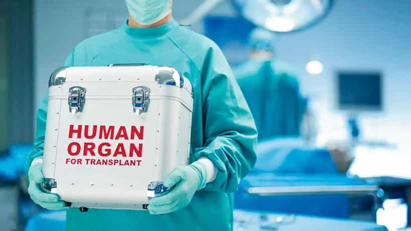 Organ Transportation Guidelines: ಮಾನವ ಅಂಗಾಂಗ ಸುಲಭ ಸಾಗಣೆಗೆ ಸಂಬಂಧಿಸಿದಂತೆ ಮಾರ್ಗಸೂಚಿ ಬಿಡುಗಡೆ ಮಾಡಿದ ಕೇಂದ್ರ ಸರ್ಕಾರ
