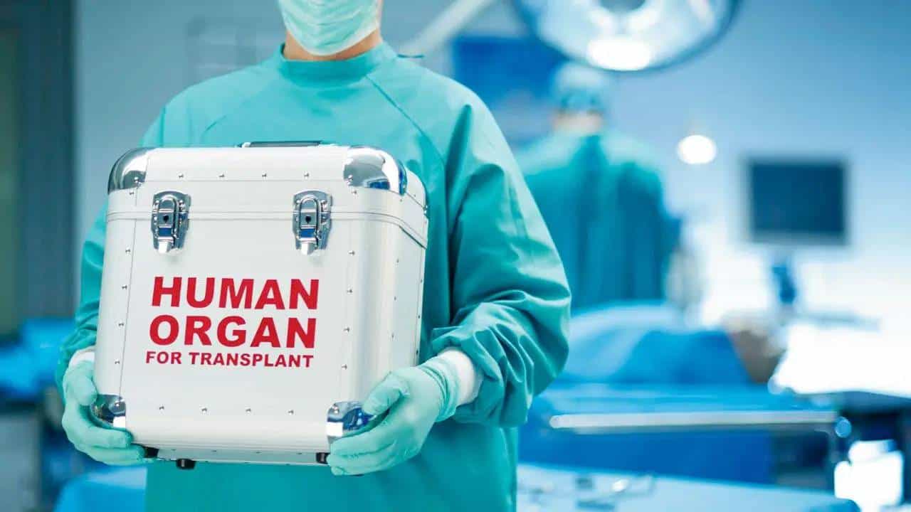 Organ Transportation Guidelines: ಮಾನವ ಅಂಗಾಂಗ ಸುಲಭ ಸಾಗಣೆಗೆ ಸಂಬಂಧಿಸಿದಂತೆ ಮಾರ್ಗಸೂಚಿ ಬಿಡುಗಡೆ ಮಾಡಿದ ಕೇಂದ್ರ ಸರ್ಕಾರ Organ Transportation Guidelines: ಮಾನವ ಅಂಗಾಂಗ ಸುಲಭ ಸಾಗಣೆಗೆ ಸಂಬಂಧಿಸಿದಂತೆ ಮಾರ್ಗಸೂಚಿ ಬಿಡುಗಡೆ ಮಾಡಿದ ಕೇಂದ್ರ ಸರ್ಕಾರ
