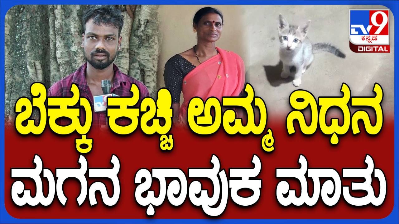 ಶಿವಮೊಗ್ಗ: ಮನೆಯಲ್ಲಿ ಸಾಕಿದ್ದ ಬೆಕ್ಕು ಅಮ್ಮನನ್ನ ಬಲಿ ತಗೊಳ್ತು; ಮಗನ ಅಳಲು